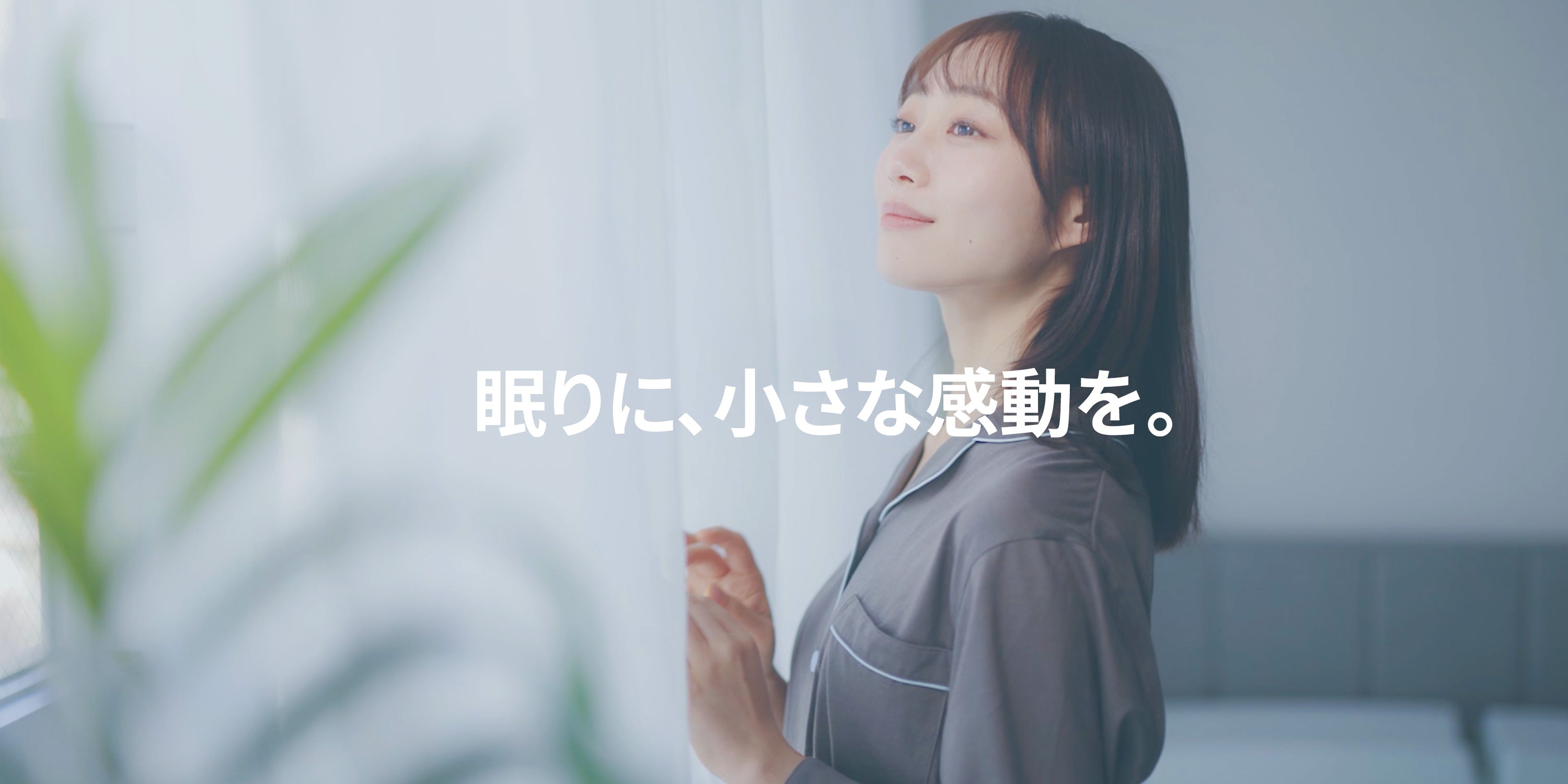 動画がロードされます。